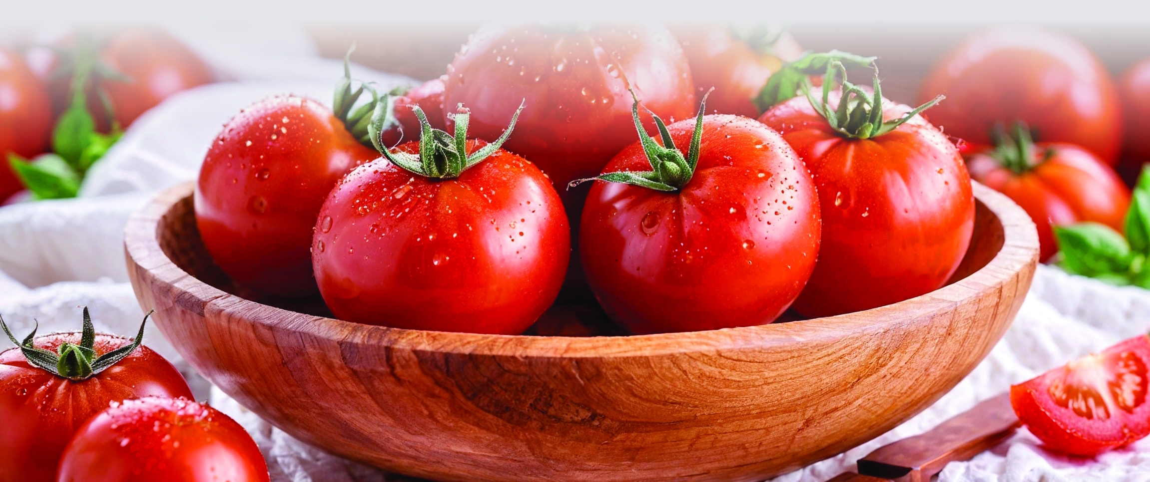 talkin tomatoes