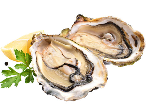 oysters.jpg