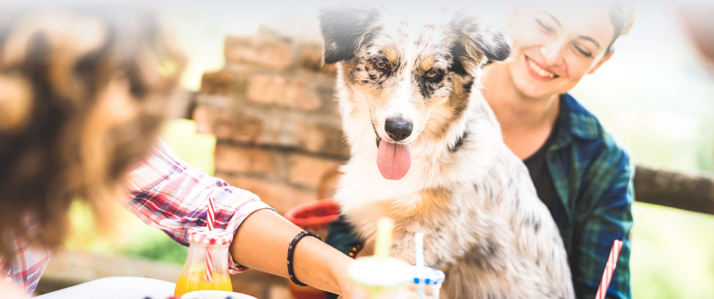 Pawsome Patios