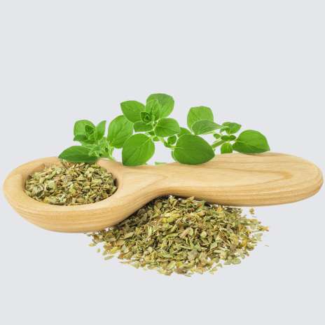 Herbaceous Spices
