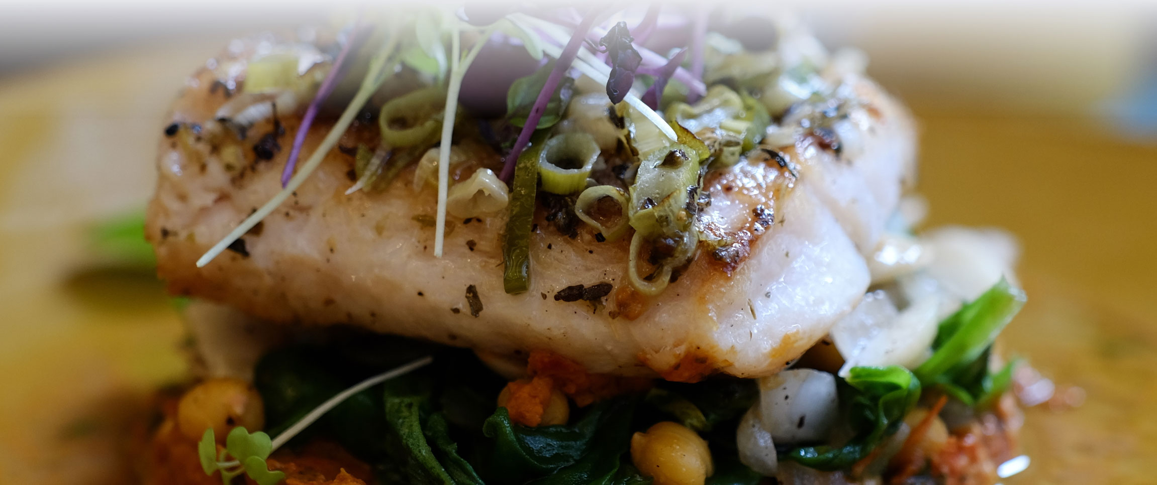 Filet of Fish COP Dish