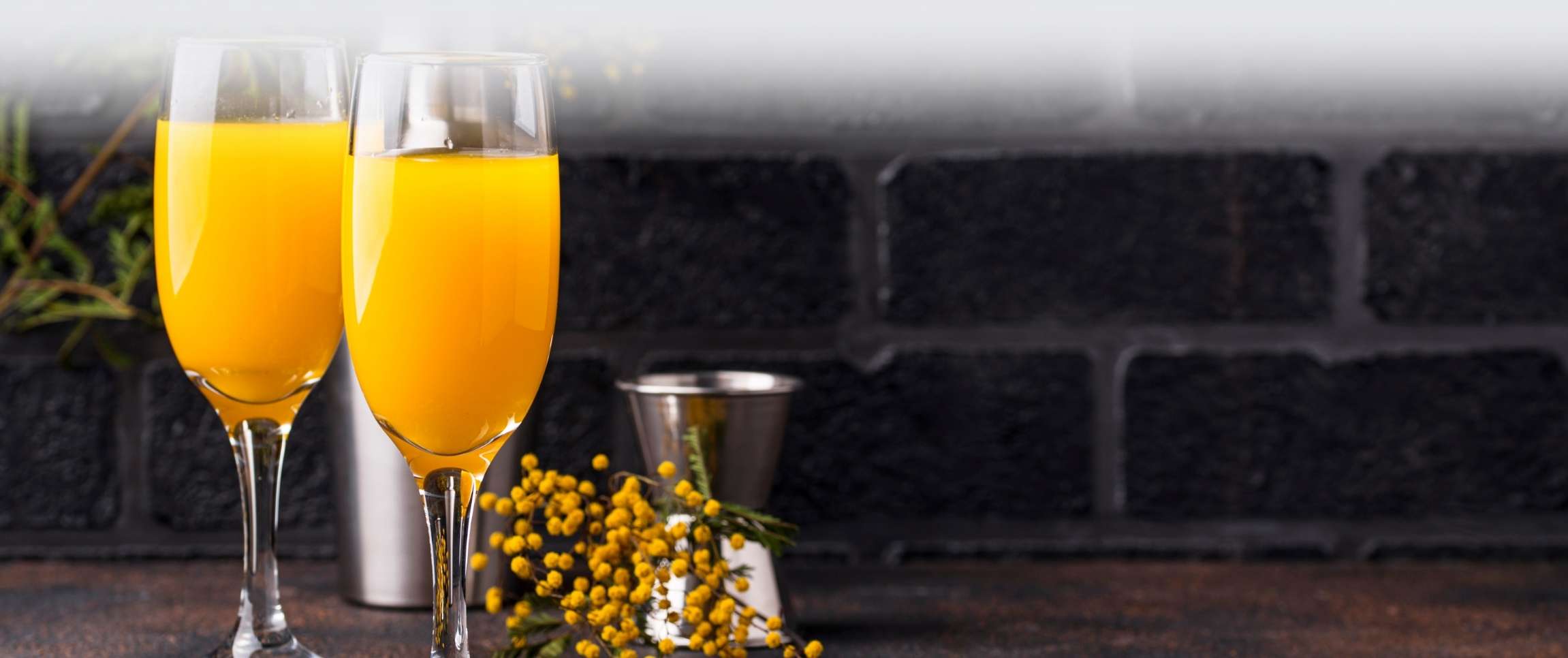 Rejuv® Mimosa