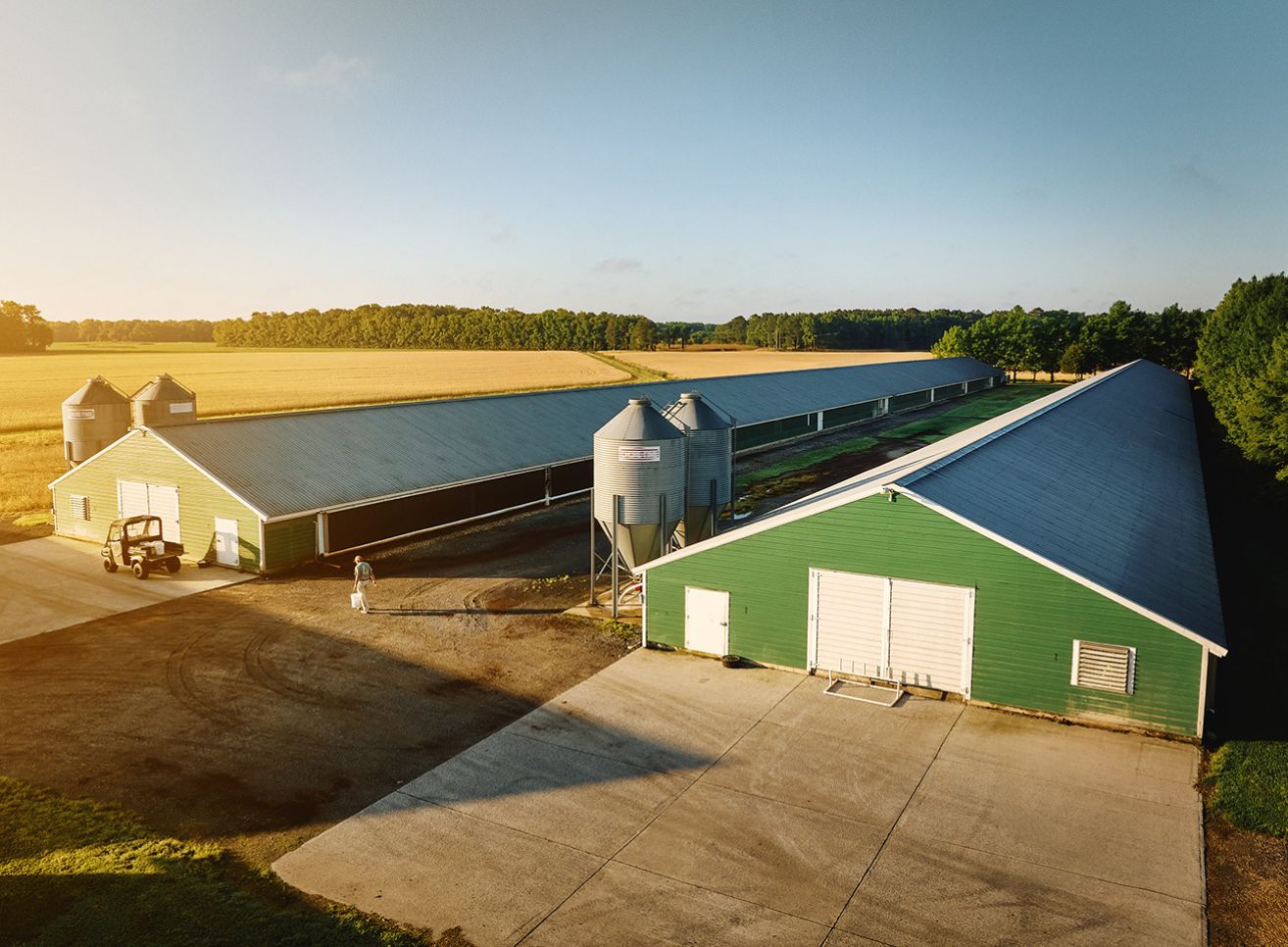 Mountaire Farms