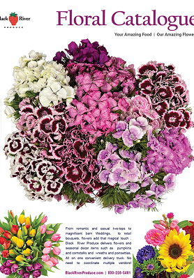 Floral Catalogue