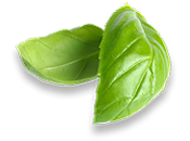 basil-leaf.png