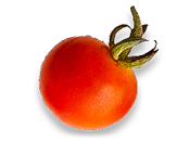 tomato.png