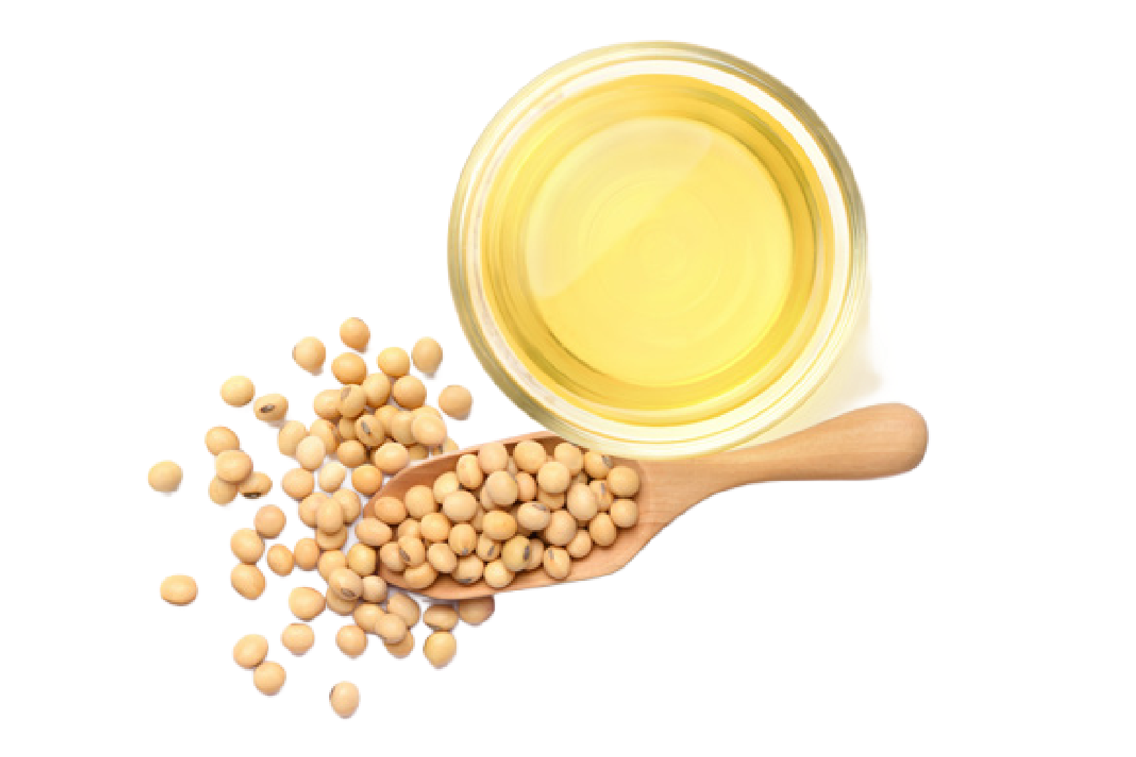 Silver Source® Canola and Soy Clear Fry Oils, Canola and Soy Salad Oils, and Creamy Fry Liquid