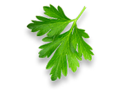 parsley-leaf.png