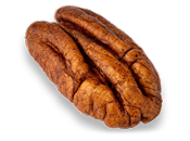 pecan.png