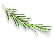 rosemary.png