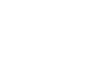 Texas-icon.png