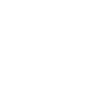 Michigan-icon.png